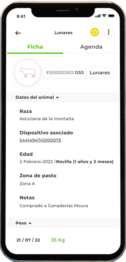 Ficha de animal